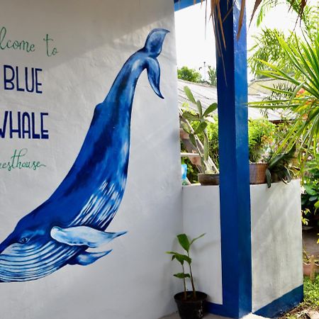Blue Whale Guesthouse กีลีตราวางัน ภายนอก รูปภาพ