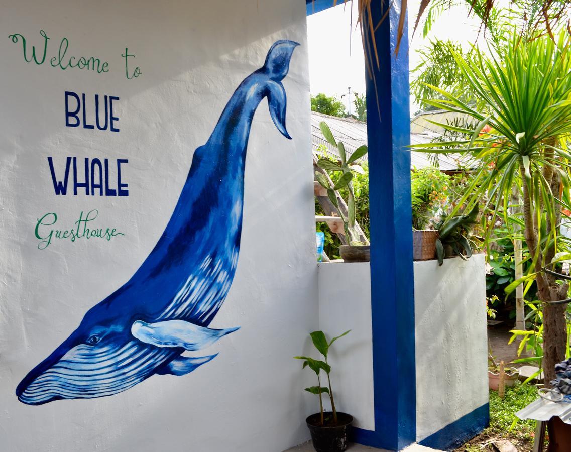 Blue Whale Guesthouse กีลีตราวางัน ภายนอก รูปภาพ